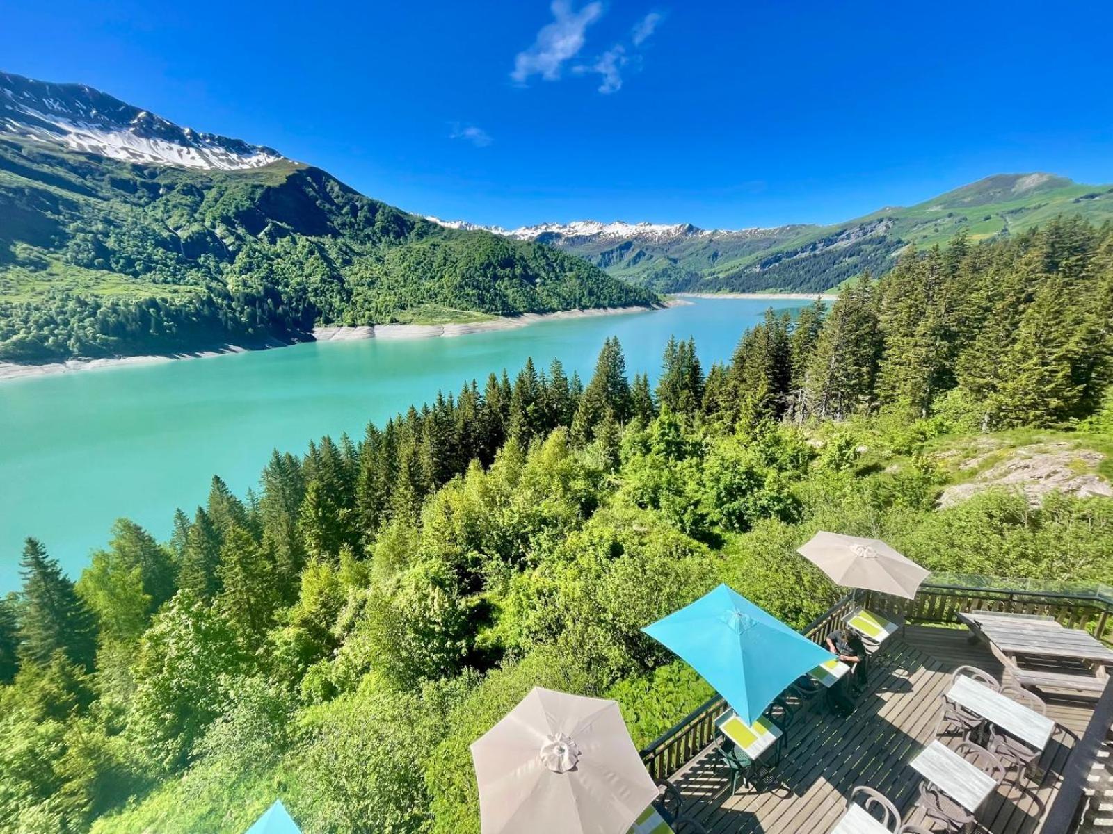 Chalet De Roselend Бофорт Екстериор снимка
